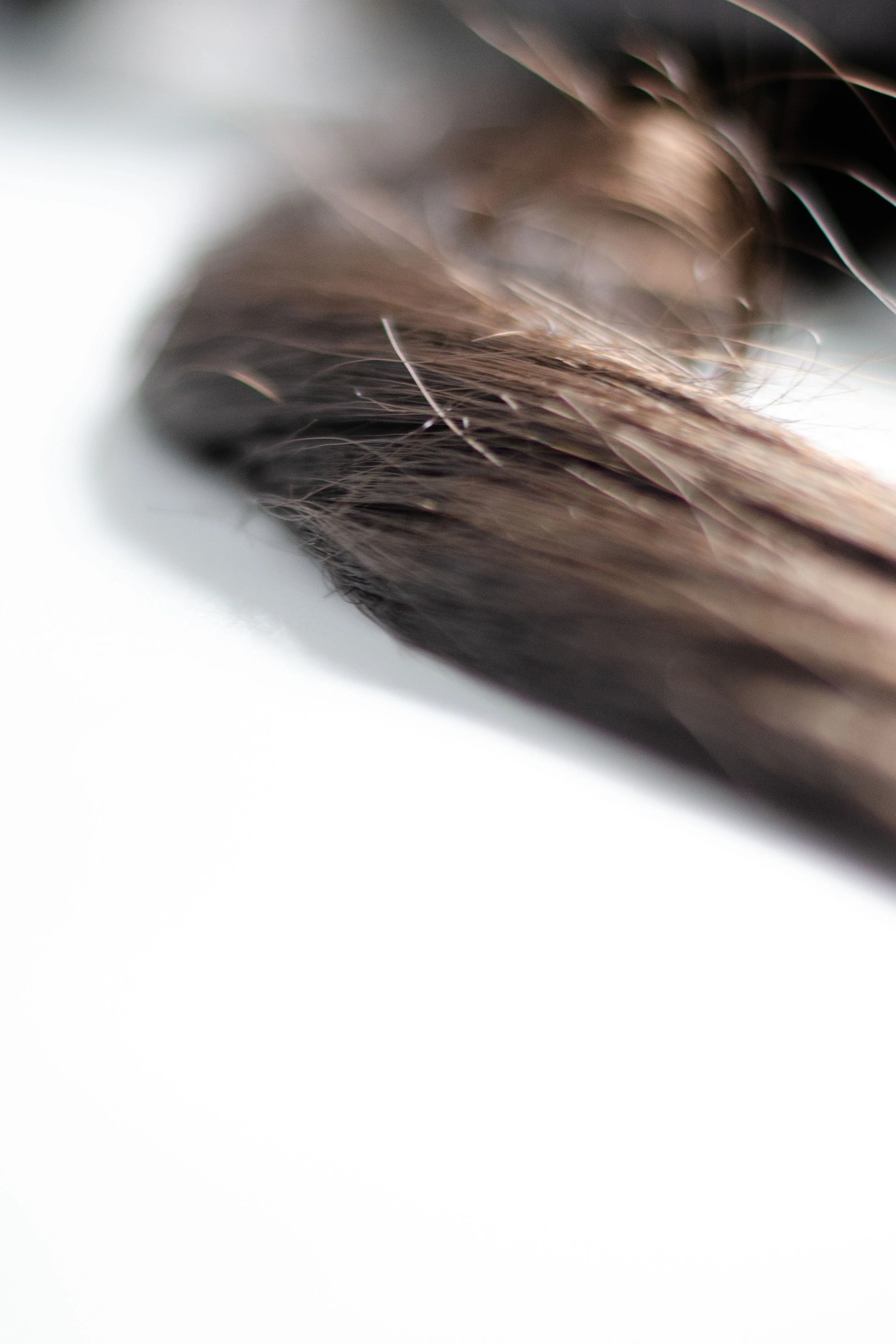 Yardlie Hair Color Shampoo | Premium Dark Brown | Regno | +-200ml | - Image 7